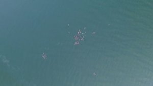 Бухта Провидения и моржи. Дары Чукотки