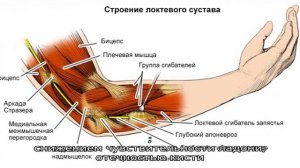 Боль в кисти руки при сгибании