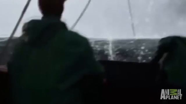 Mermaid In Sri Lanka - Jalpari Caught On Camera - Purisrar Dunya Urdu Documentary смотреть онлайн