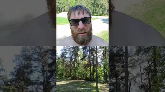 ЛесНИчей Памятник ( Активная Медитация в Швеции локация Хейдемора )