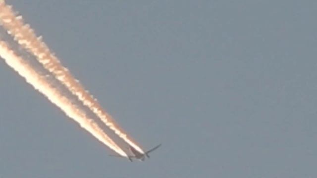 Nikon COOLPIX L830 смотреть онлайн