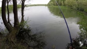 Zander fishing - Lake Borovik, Croatia