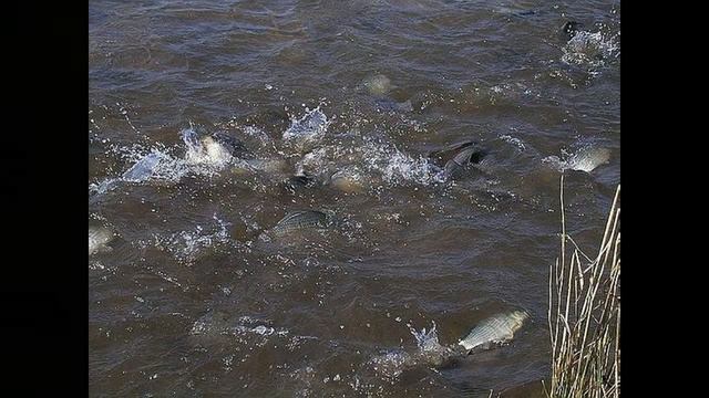 УТРО НА РЕЧКЕ ИСП АВТОР К МАРТЫНОВА смотреть онлайн