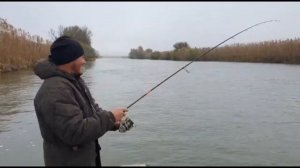 Осенний жерех часть #5. Рыбалка в Маково.