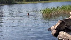 База отдыха Беличье ! Озеро Вуокса .