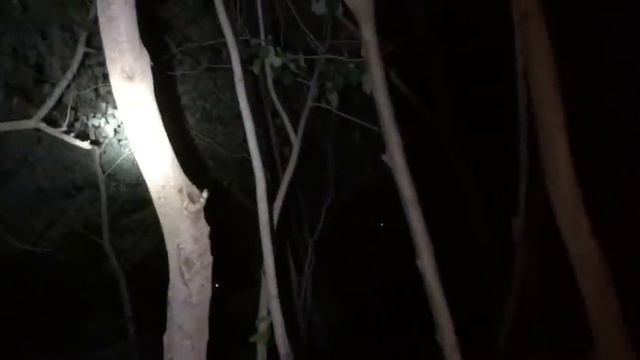 MANANANGGAL UMATAKI MARAMI SILA|@RealMasterGala  @kuyaredghostadventures  @bims смотреть онлайн