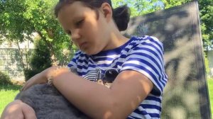 Кот порезал лапу?!