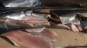 Камера дефростации (дефростер воздушно-капельный) для рыбы запущен в Смоленске. С газовым нагревом.