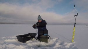 Сравнение камер для рыбалки. Sony 662&663 против sony IMX291