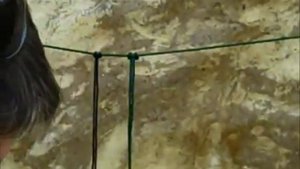 Сетка из паракорда