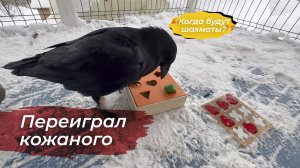 Перешли на новый уровень игры крестики-нолики. Вспомнили старую головоломку