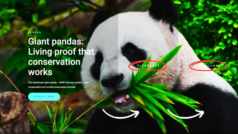 Сайт миним. Old website new website. Сайт миним. Миними еда для собак. Related site.