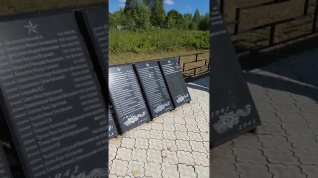 Массовое захоронение под Ржевом. Эхо Великой Отечественной войны