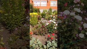 Самый красивый сад)))