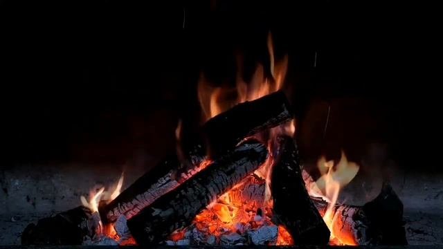 Успокаивающий? треск костра со звуками дикой природы. | The lulling crackle of the fire #тресккостр