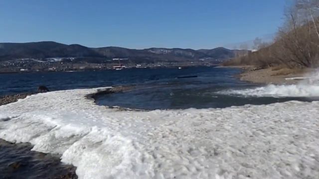 Риджбек на прогулке на берегу Енисея смотреть онлайн