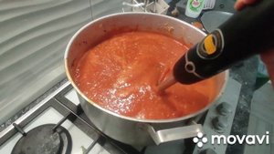 СОУС ТОМАТНЫЙ с ЧЕРНОСЛИВОМ#земледелие #заготовка ...