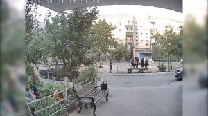 В Орске ребёнка покусала собака