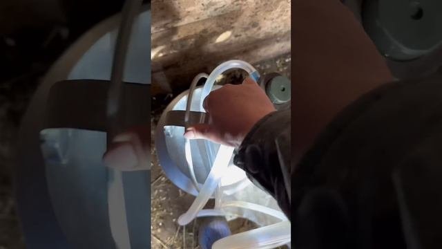 Добрейшее утро всем. Сегодня решила показать вам это утреннее видео. #доброеутро #обычныйдень