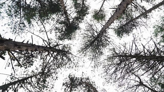 Ist das die perfekte Wildtierkamera? | OM System OM-1 Mark II Review смотреть онлайн