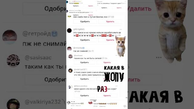 котики постараются?