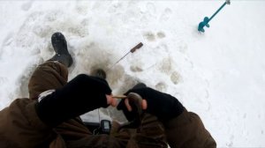 Окунь на балансиры от Герасимова!