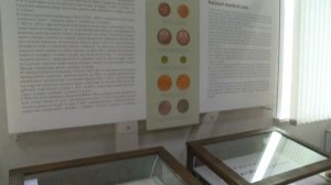 Сузунский монетный двор // Гордиться – значит знать!