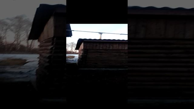 Делать было нечего, дело было вечером. Затопил баньку.