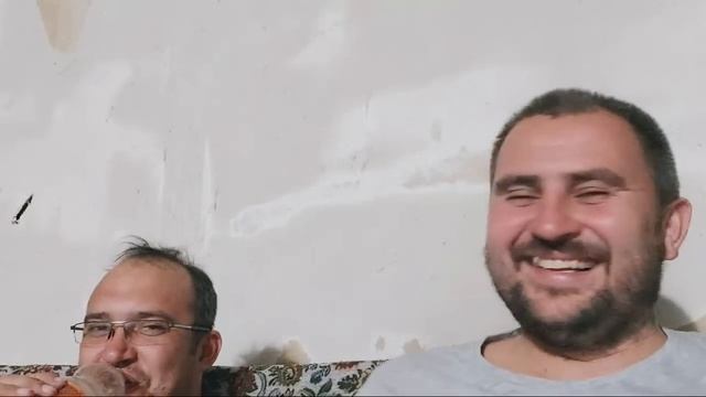 Телята На Привязи