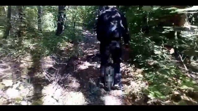 Моноколесо катаем по лесу EUC 20190912 смотреть онлайн