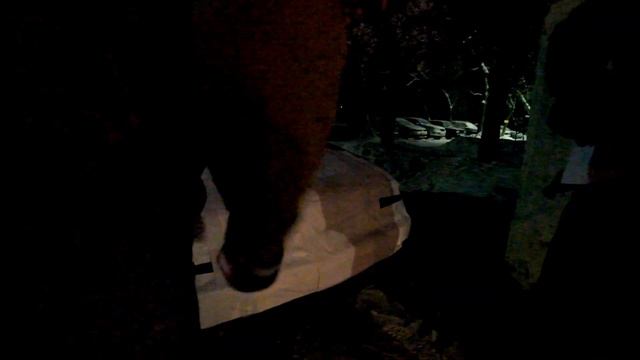 Авто из бумаги (Оригами) / Три пакости в секунду / tripakosti vsekundu / Эпизод 2 смотреть онлайн