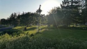 240614-15 Пермь