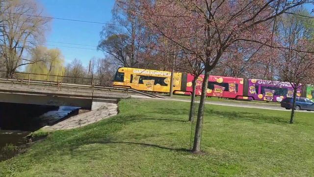 Рига.Сакура зацвела.Часть 2-я.