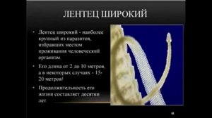 !!!Богонатова Л. Н.  Лентец Широкий!!!|!!!Bogonatova L.N. Lentec Shirokij!!!