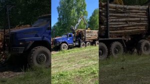 Урал Next лесовоз в работе