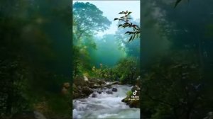 Цыганская песня (тут жакирна) исполняет Петя коряк г.Сальск