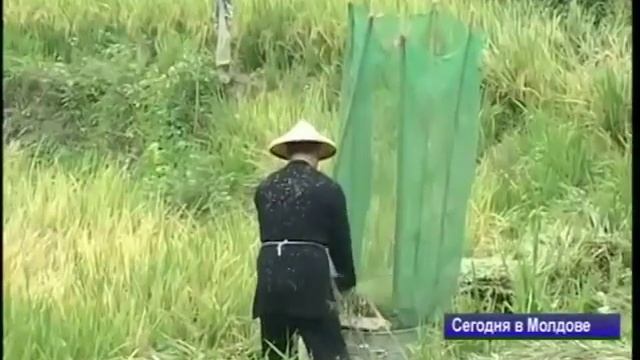 Виктор Панасюк в Китае.