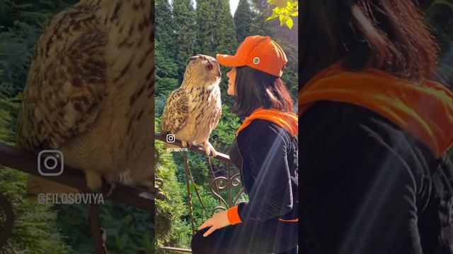 Вот такое моё счастье с Марсом 🦉😍 #owl #марс #марсианин #owl #buho #филин #токсово