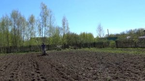 посадка картофеля с мотоблоком и обработка . часть 1