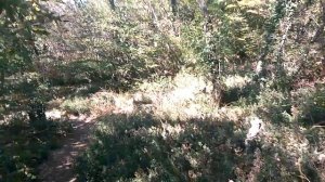 24.09.17 12.43 дня. Третья лагуна Утриша.