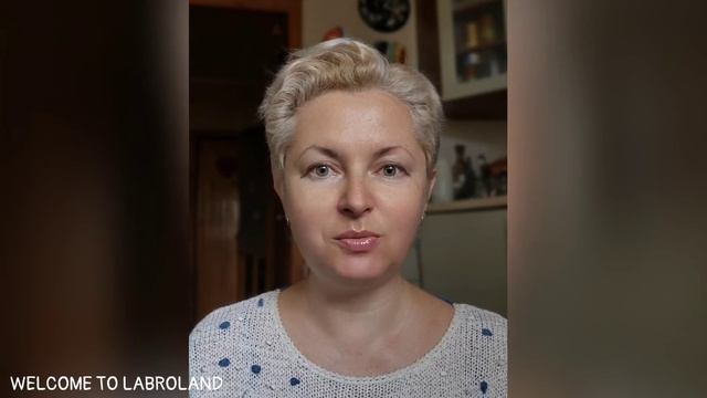  Как на прогулке с собакой избежать нежелательных знакомств?