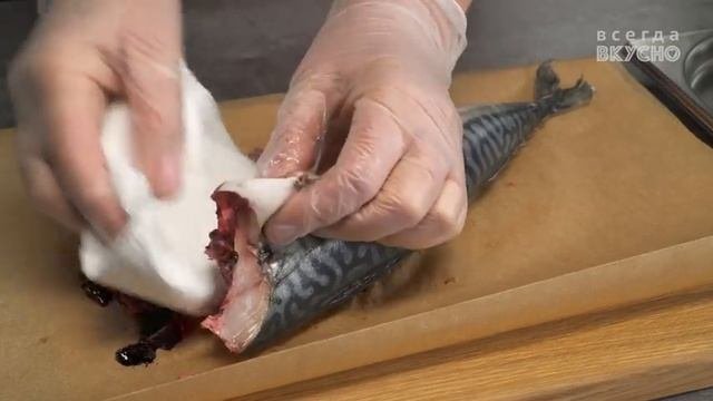 Малосольная скумбрия