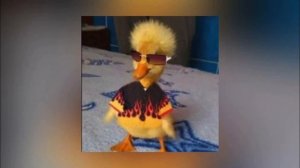 Galibri & Mavik - Федерико Феллини (Speed up $)