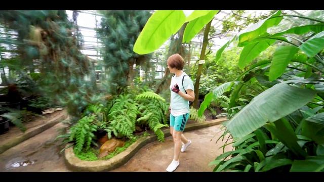 Главный ботанический сад (Москва) 2часть.