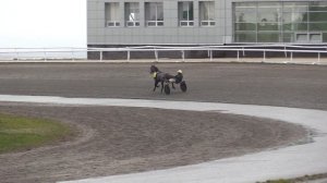 10 Ноября 2023   3 Заезд Приз в честь всемирного дня молодежи