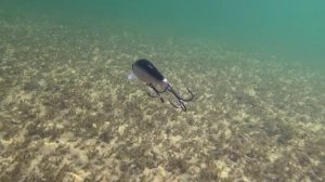 Воблер Strike Pro Jer O Minnow 180 (EG-045F)