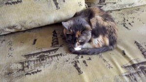 Тест дрона после перепрошивки