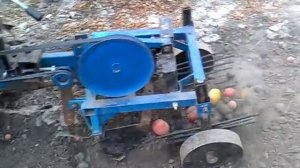 картофелекопалка к мотоблоку
