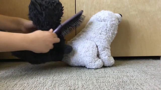 The Marriage Of Star Petunia Rygg And Peezew Bear Anderson🐻 | Stuffed Animals смотреть онлайн