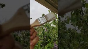 Как покрасить ржавые трубы